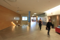 105_dpp05.jpg
