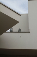 22_dppb0000013.jpg