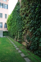 63_dpp05.jpg