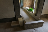 63_dpp19.jpg